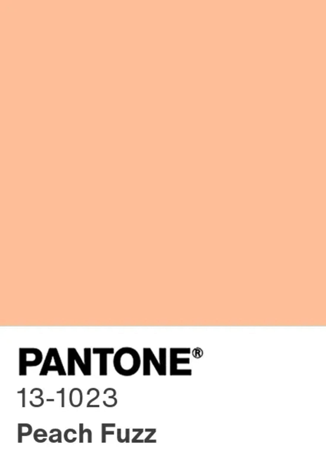 Peach Fuzz 13-1023 : La couleur Panthone de l'année 2024