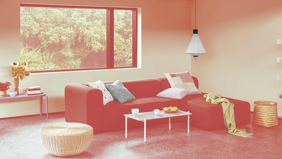 Best deals with our Outlet - The Cool Republic