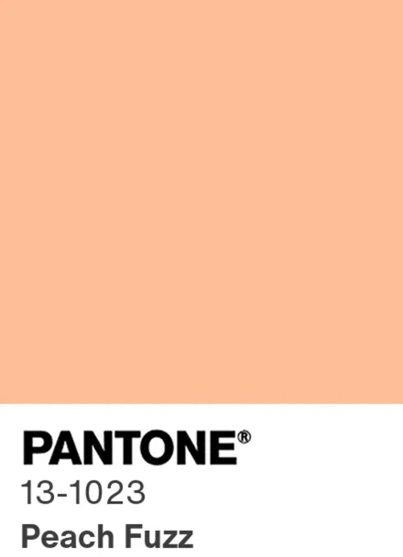 Peach Fuzz 13-1023 : La couleur Panthone de l'année 2024 - The Cool Republic