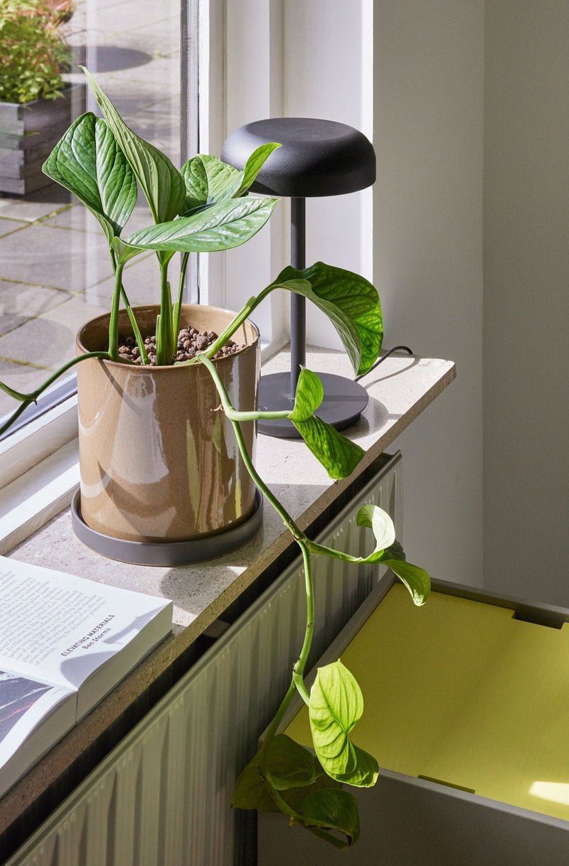 Petits Espaces, Grandes Idées - The Cool Republic