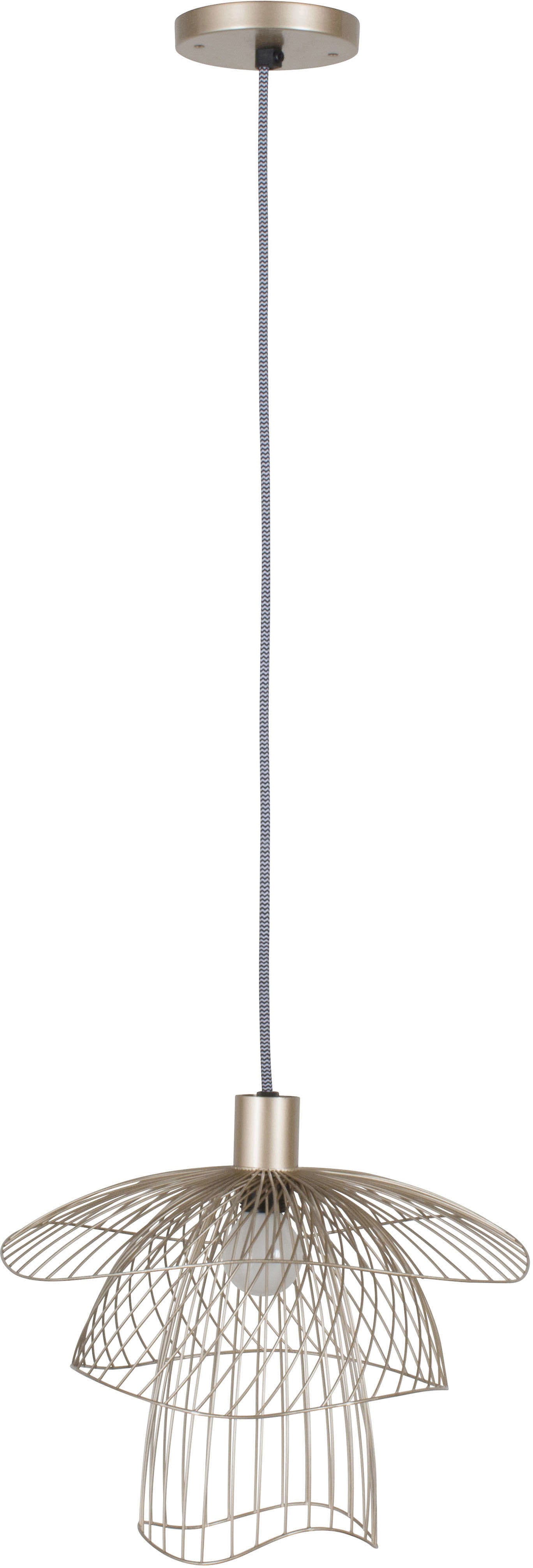 123546.jpg