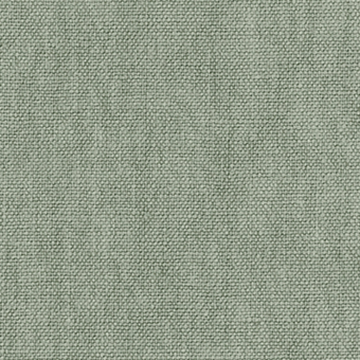 140062.jpg