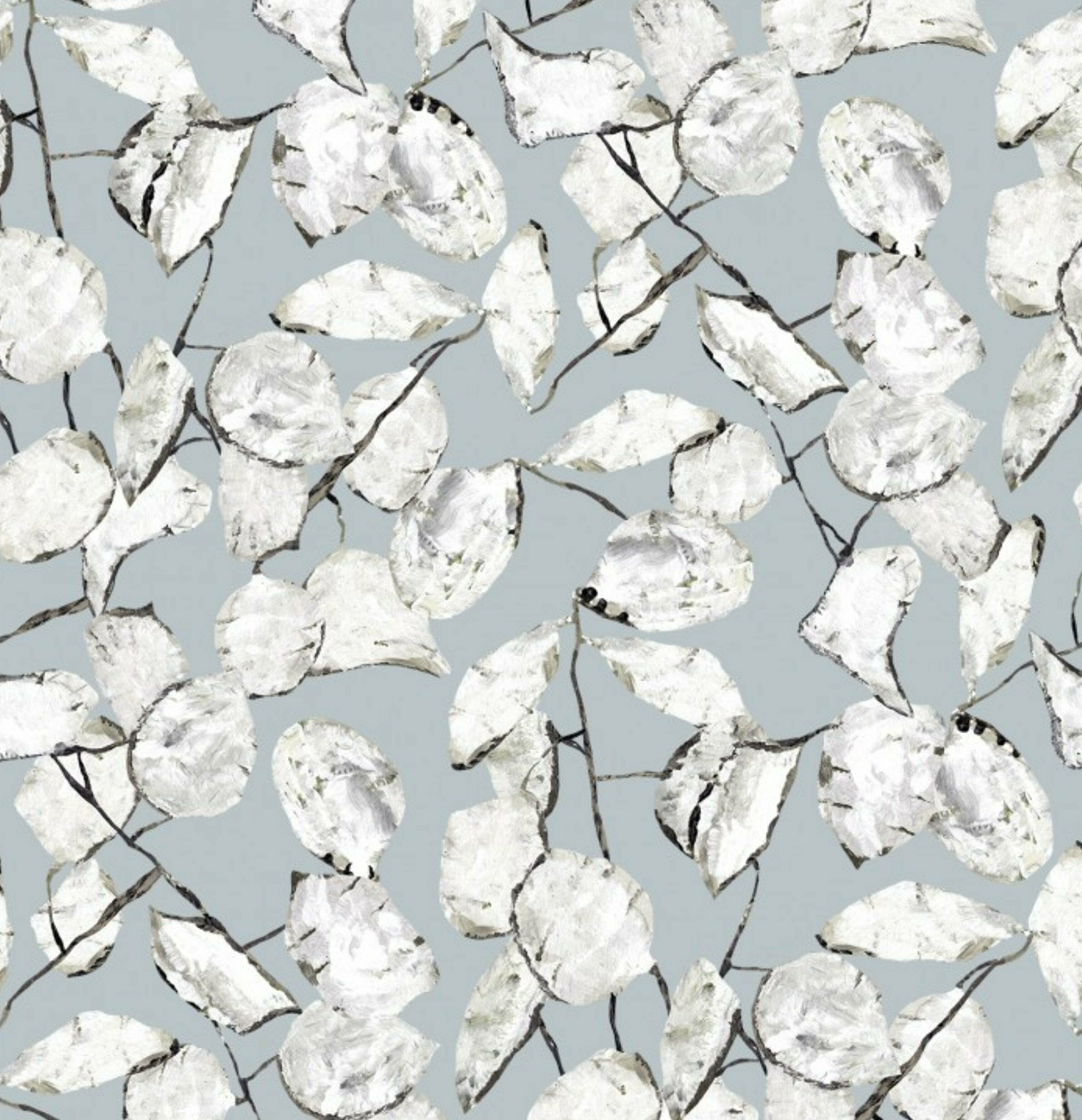 Papier peint gris bleuté Monnaie de Pape Raccordable - Edito — 143255.jpg