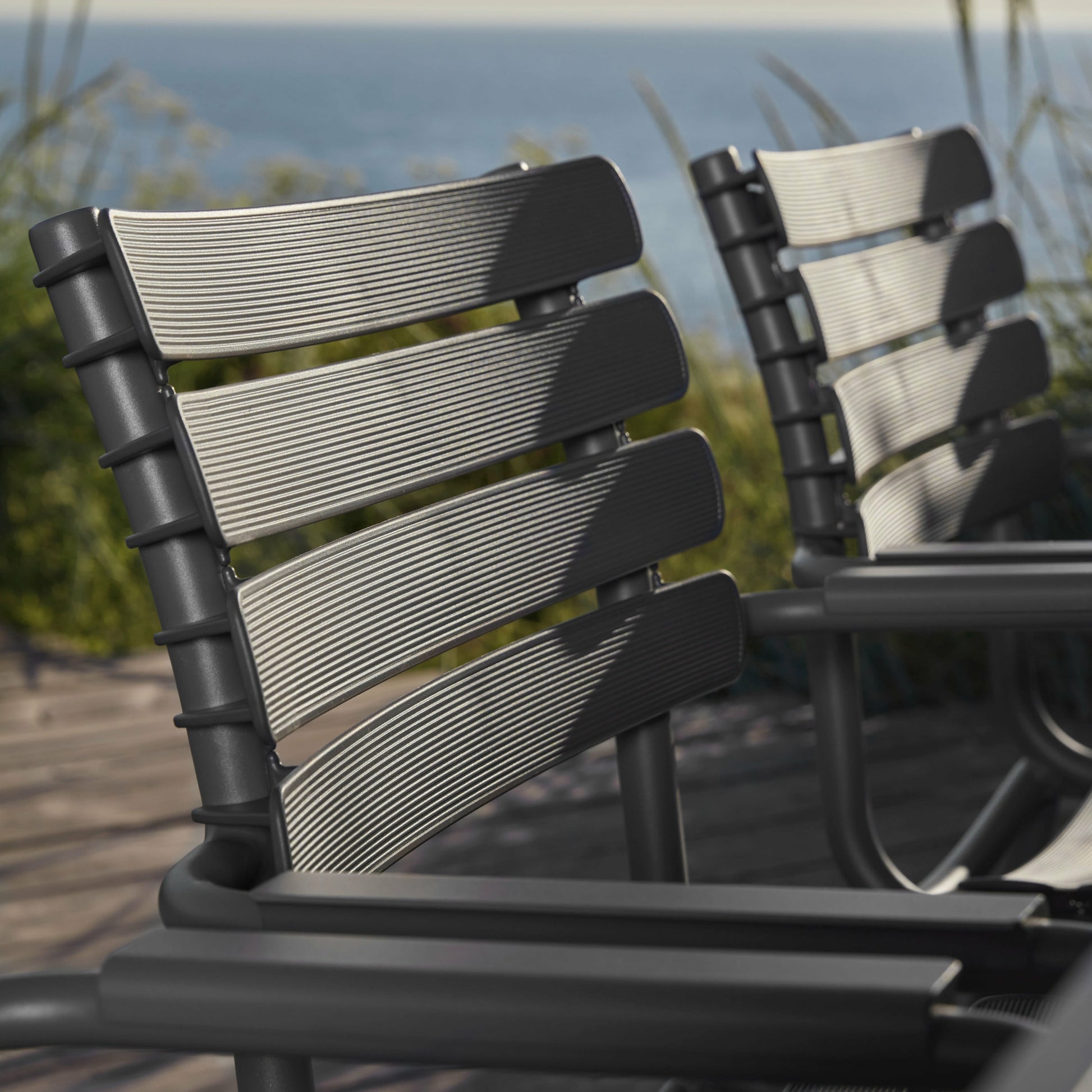 203039.jpg