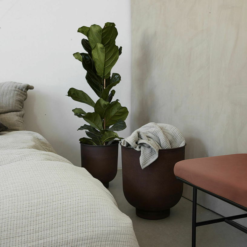 2-jardinieres-en-fer-henne-brule-vig-house-doctor-5