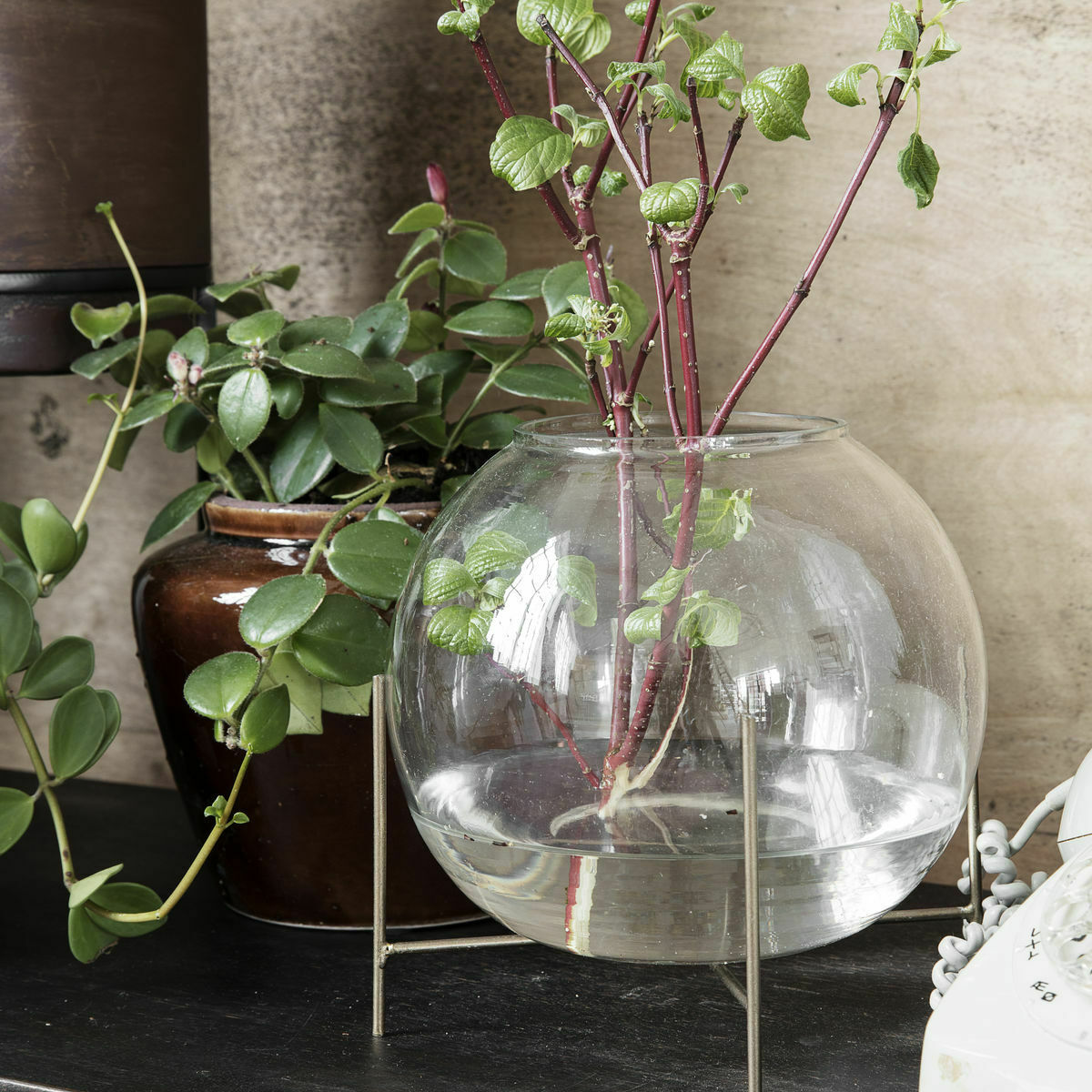 204838.jpg