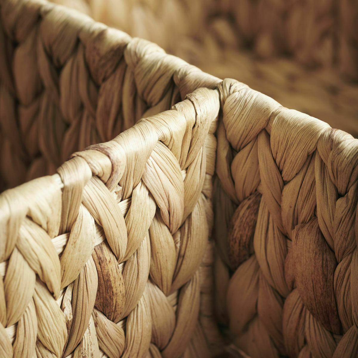 207877.jpg