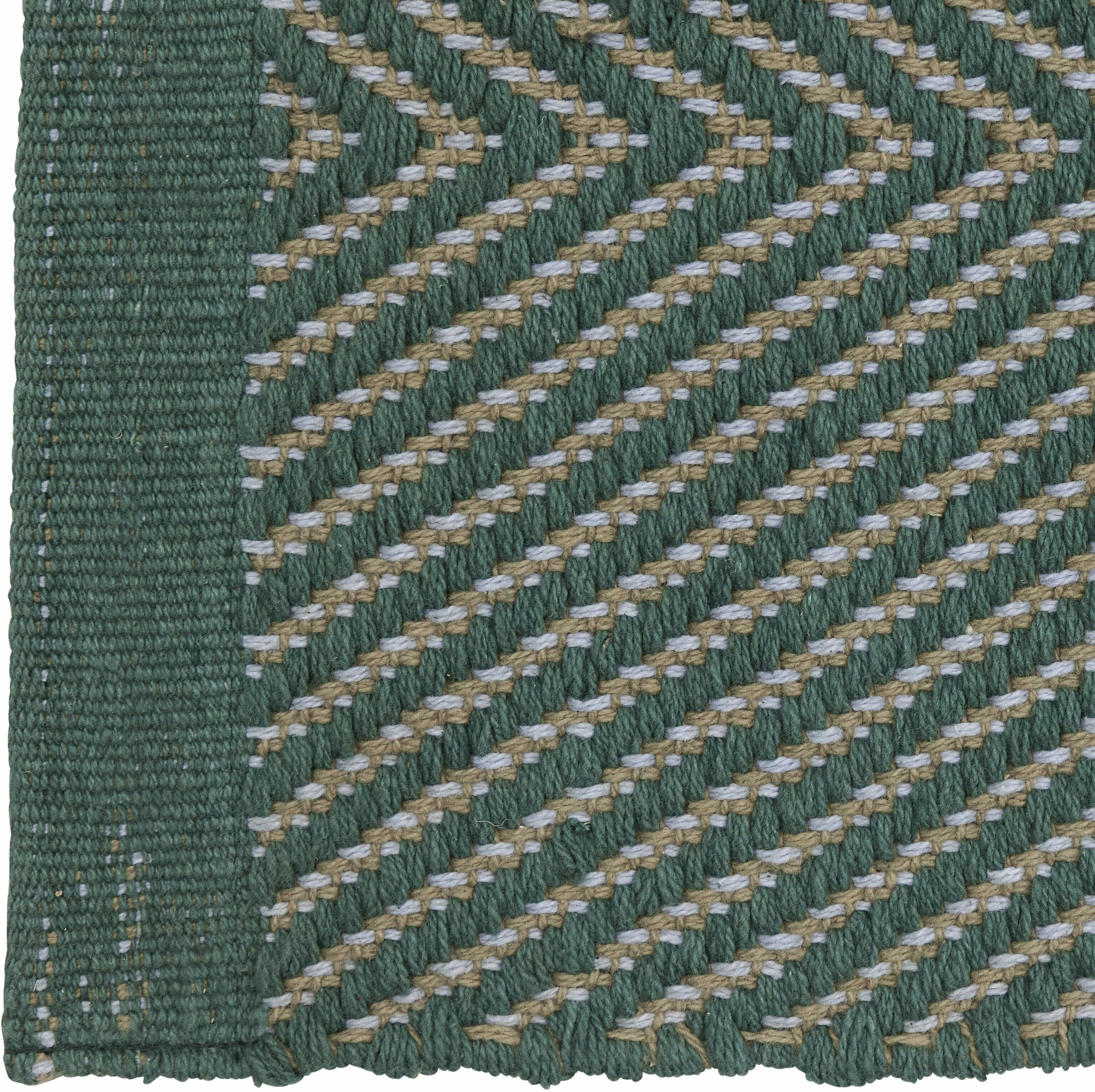 233019.jpg