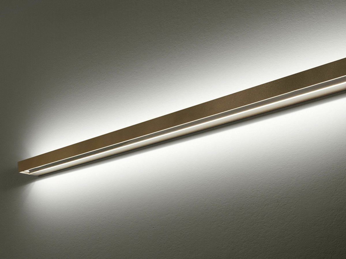 239547.jpg