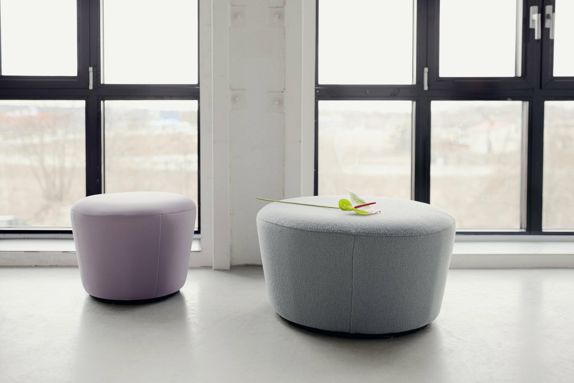 253442.jpg