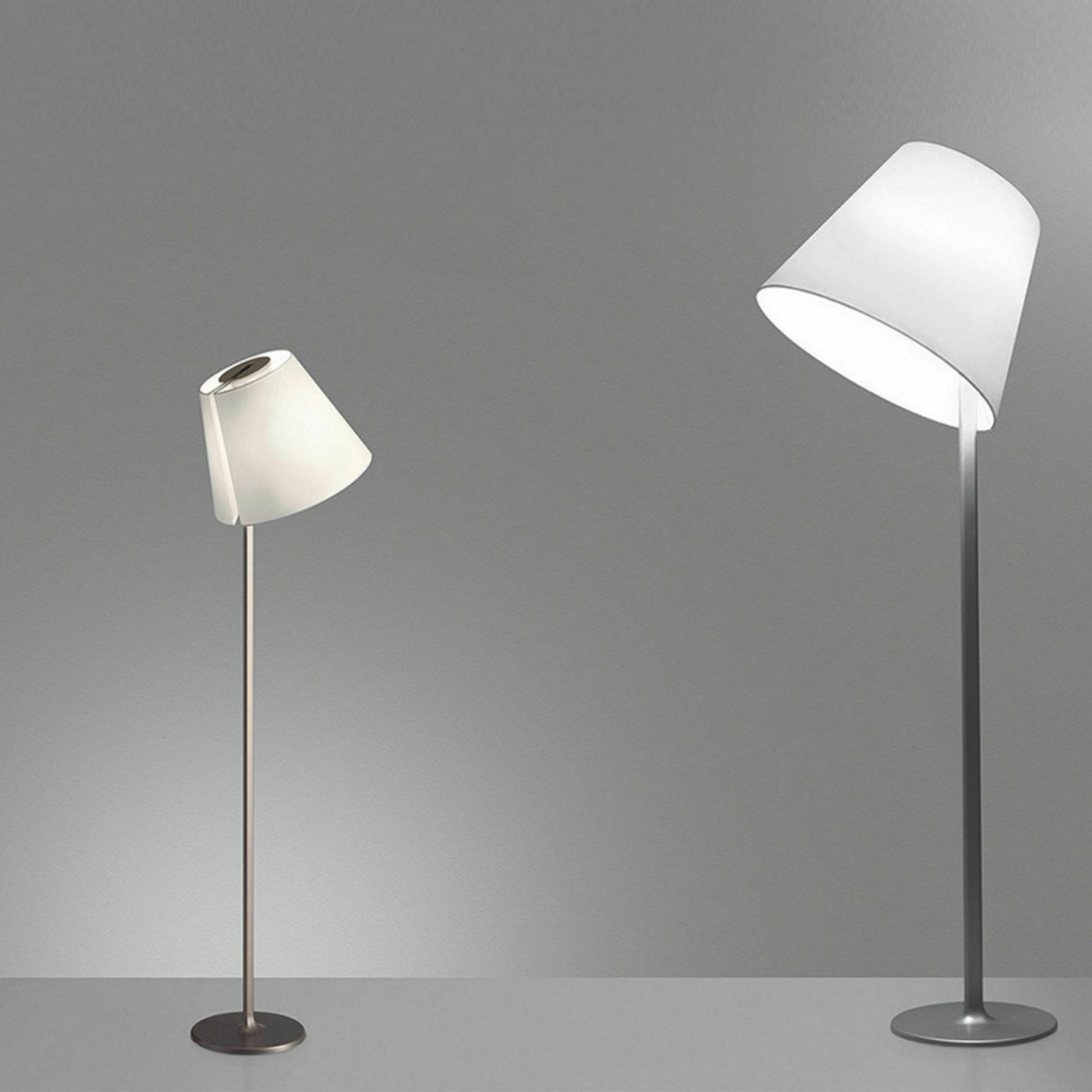 254399.jpg