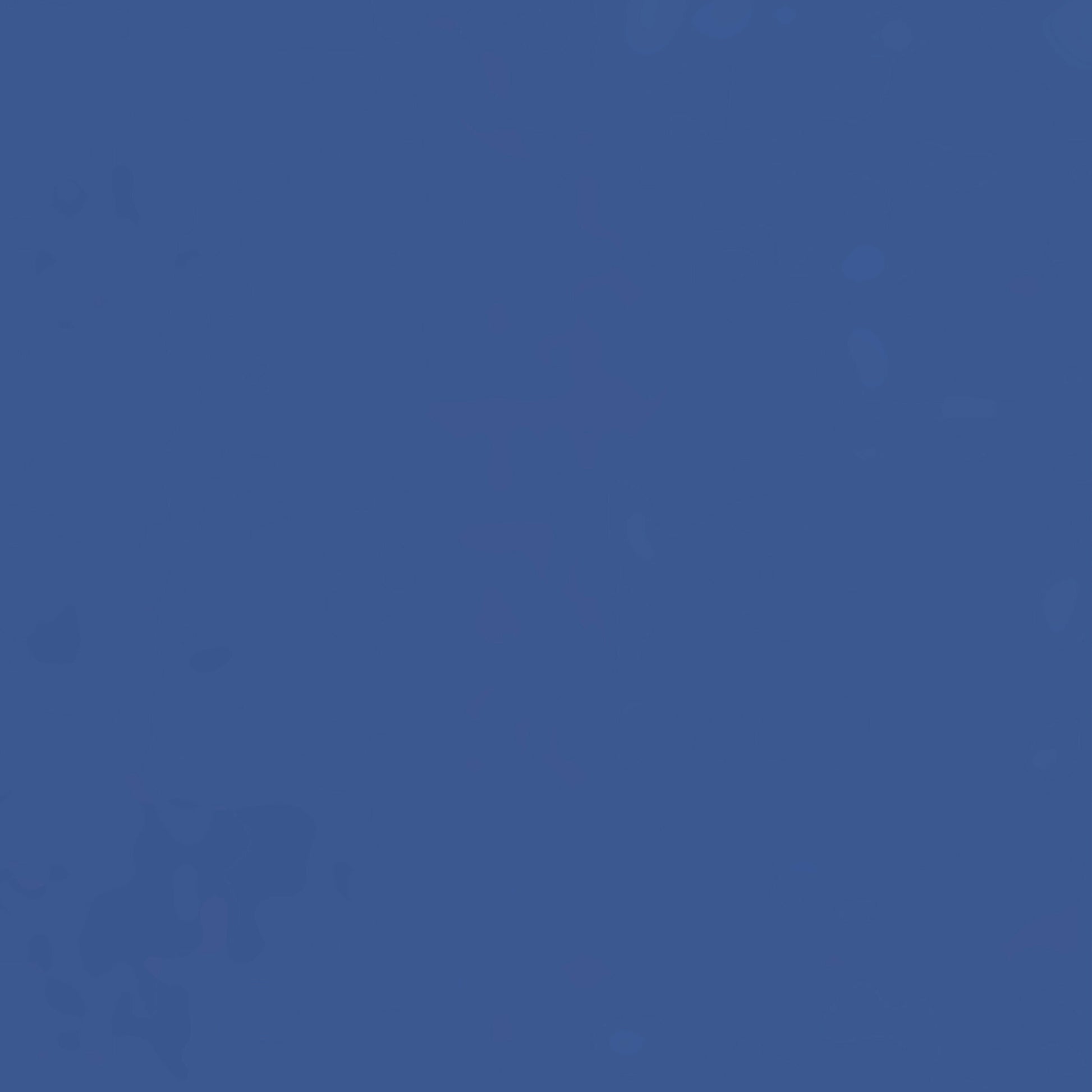 256277.jpg