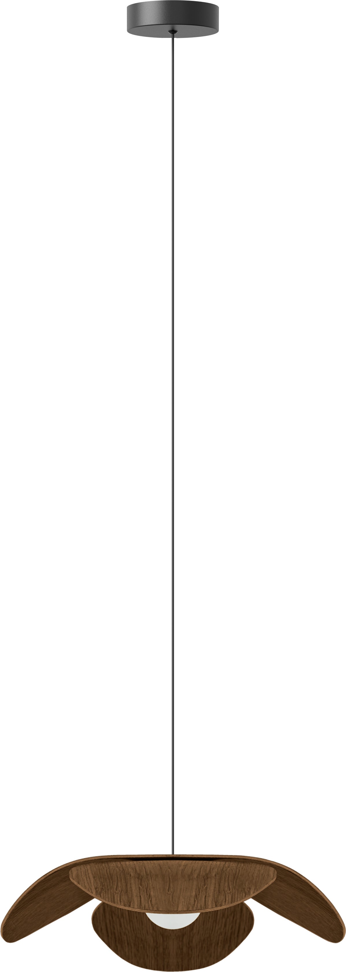 270287.jpg