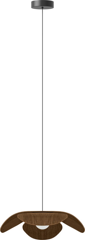 abat-jour-en-chene-fonce-28-cm-forget-me-not-umage-2