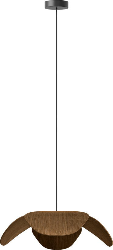 abat-jour-en-chene-fonce-38-cm-forget-me-not-umage-2