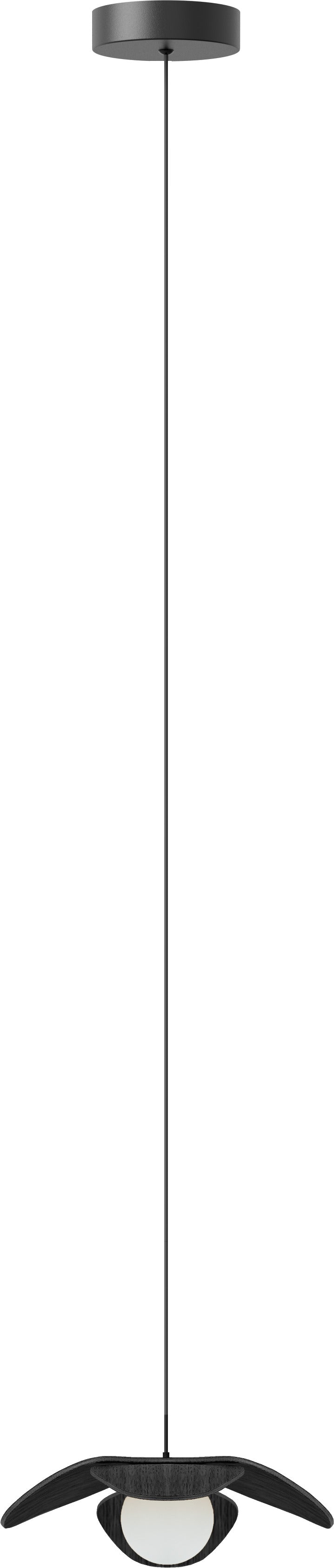 270293.jpg