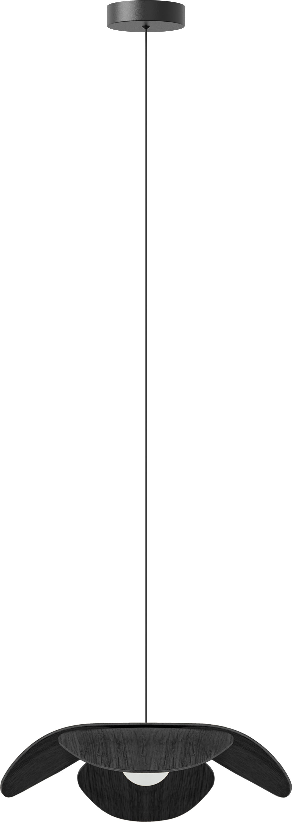 270298.jpg