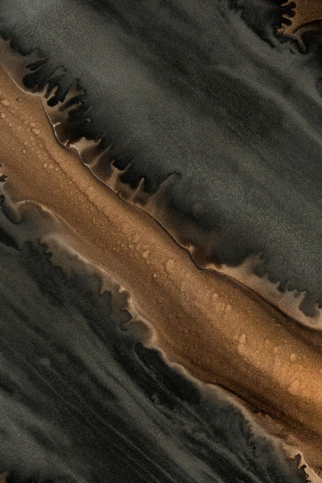 274963.jpg