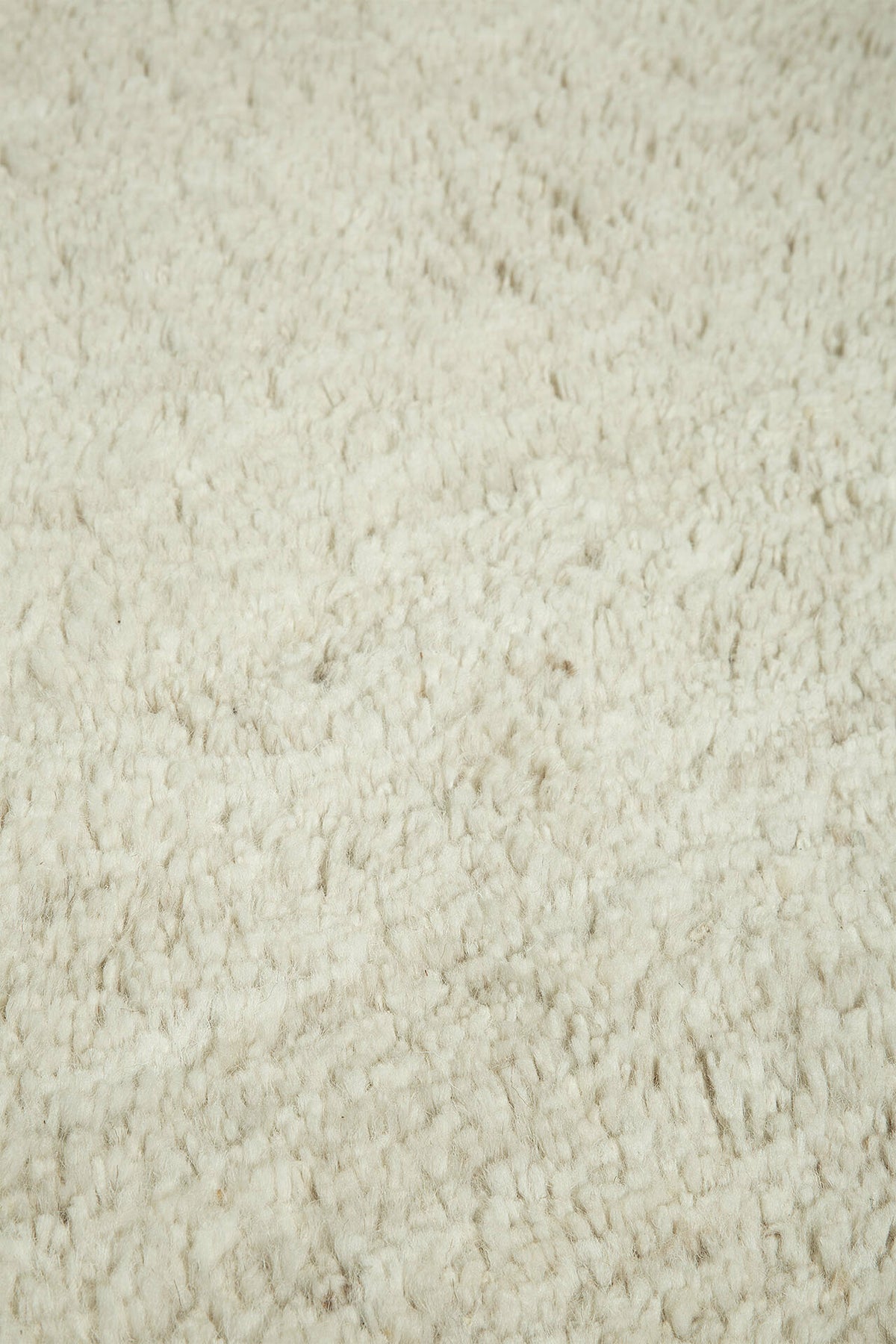 275124.jpg