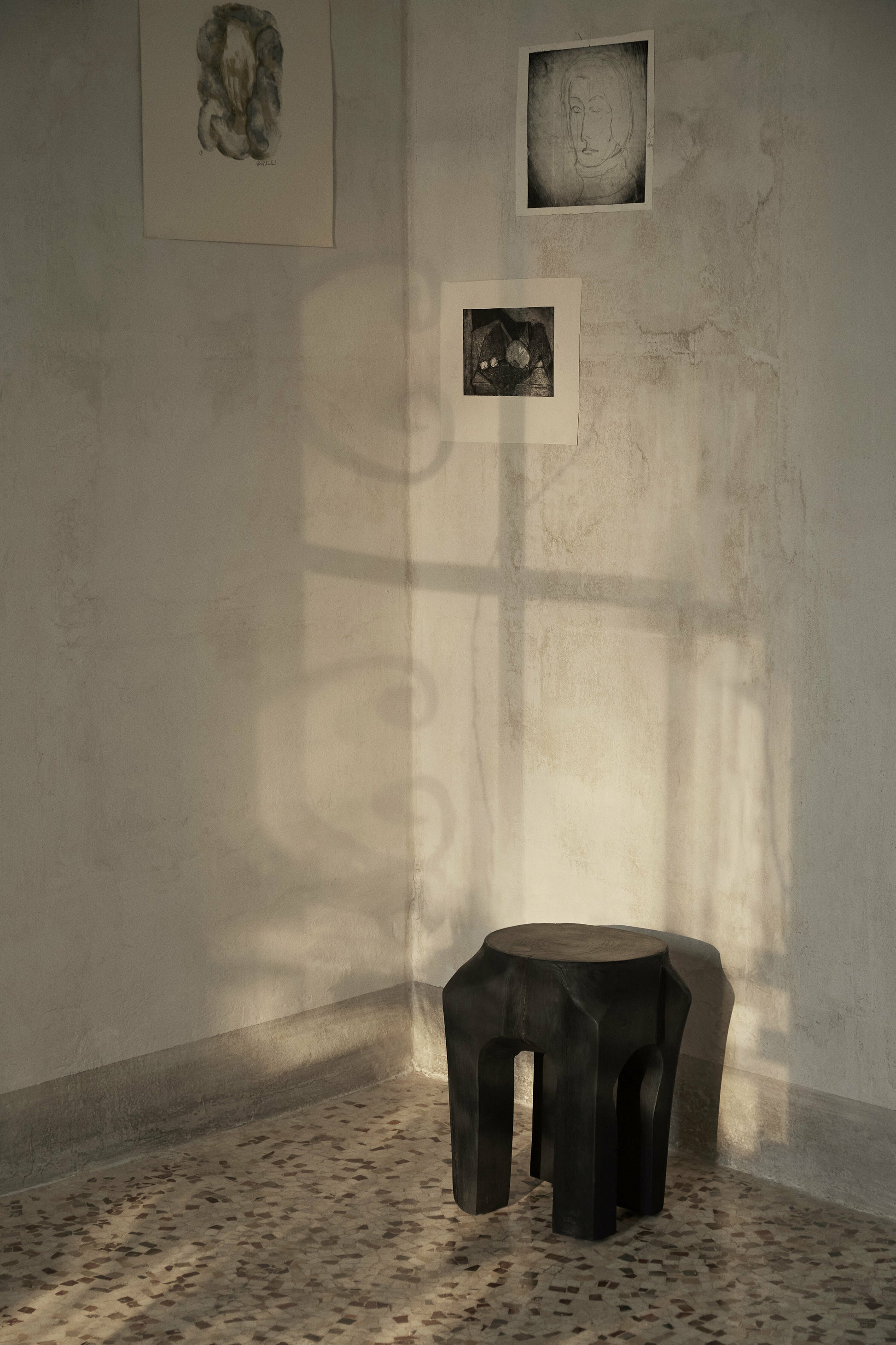 291569.jpg