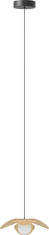 cable-de-suspension-10-x-300-cm-sans-ampoule-rosette-umage-2
