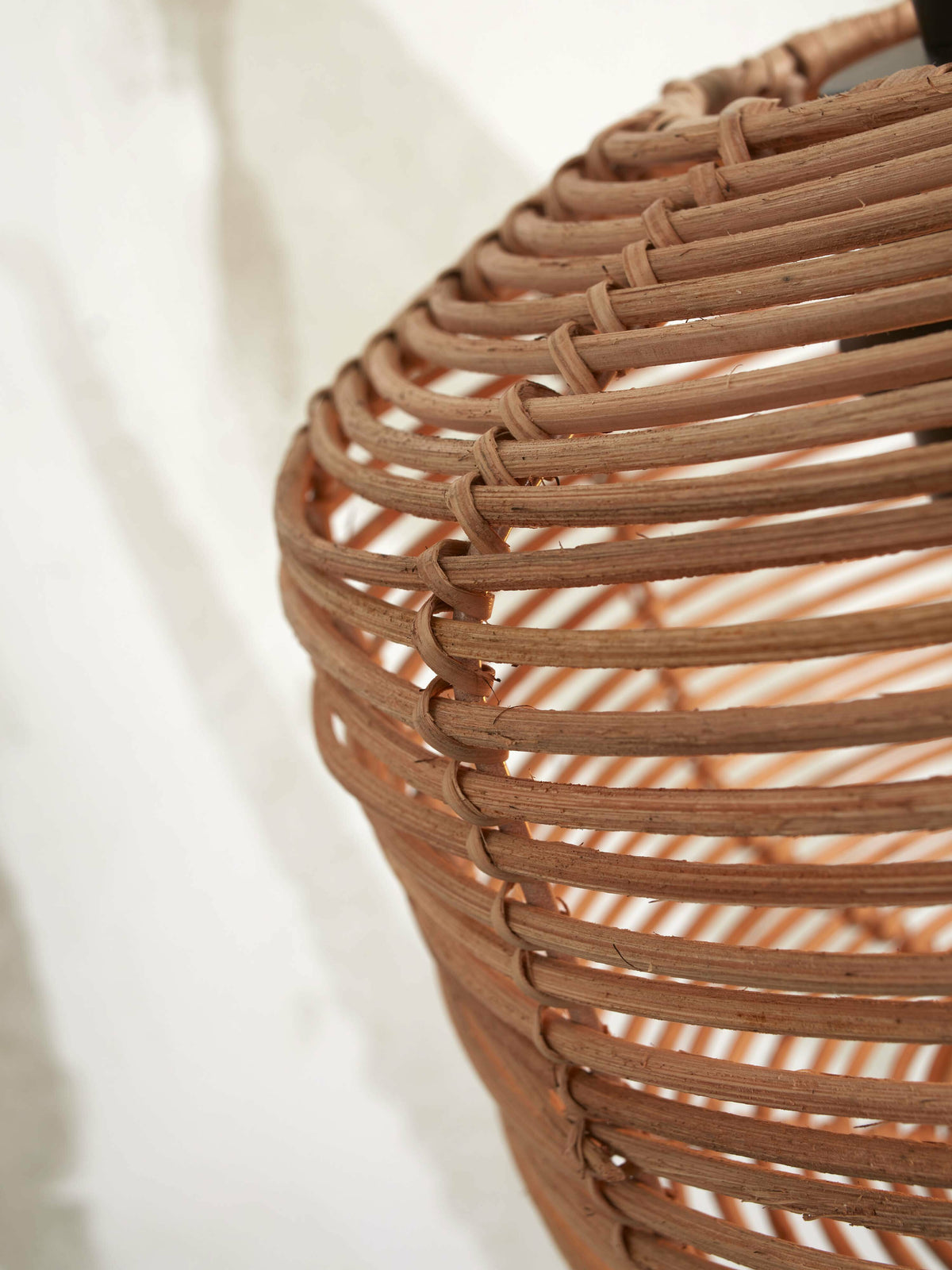 294381.jpg