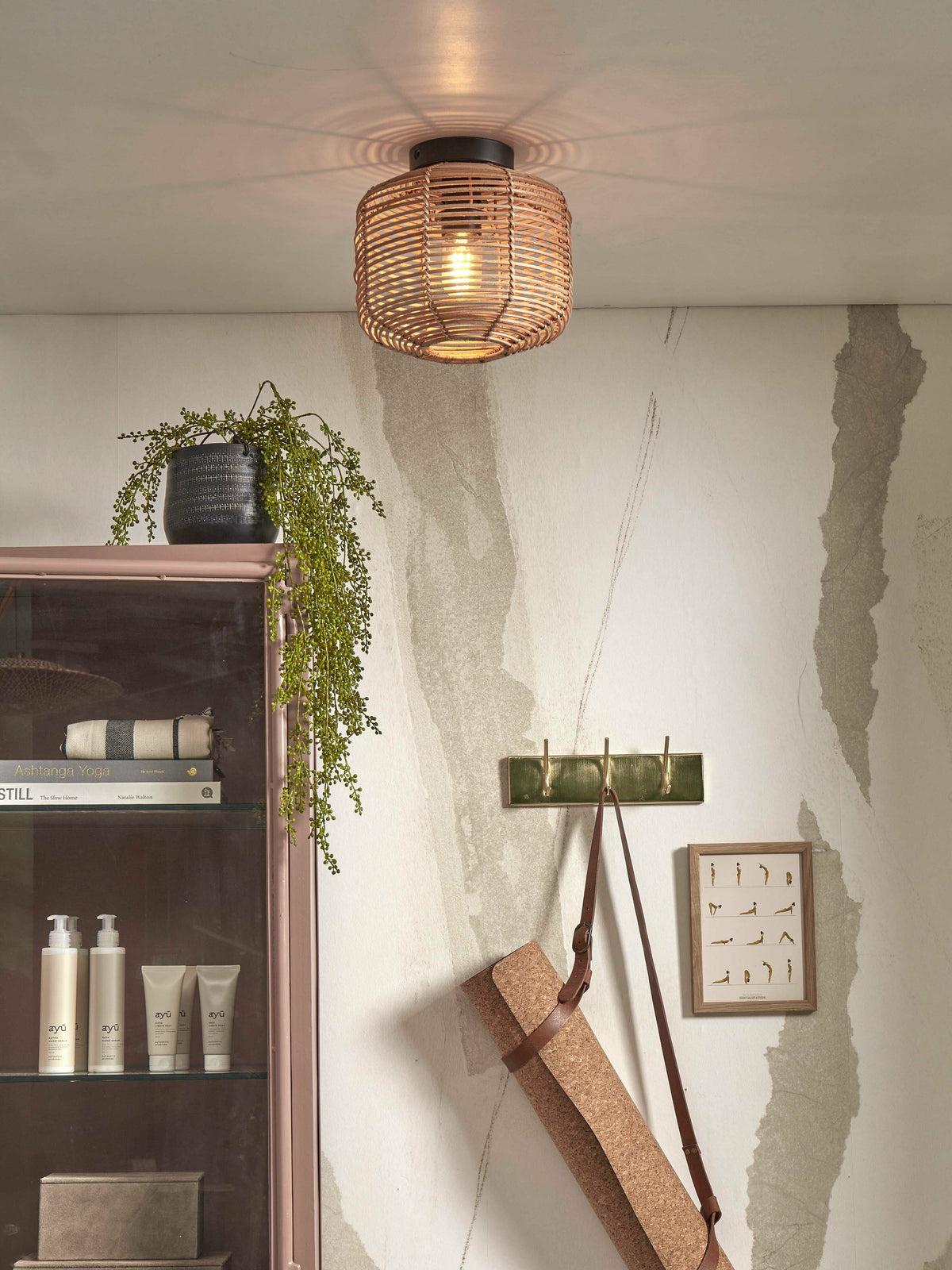 294383.jpg