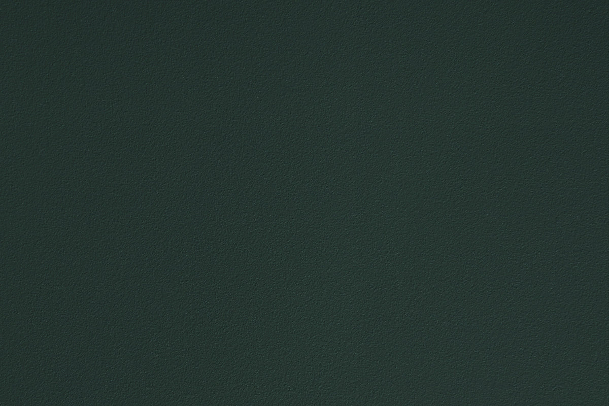 295197.jpg