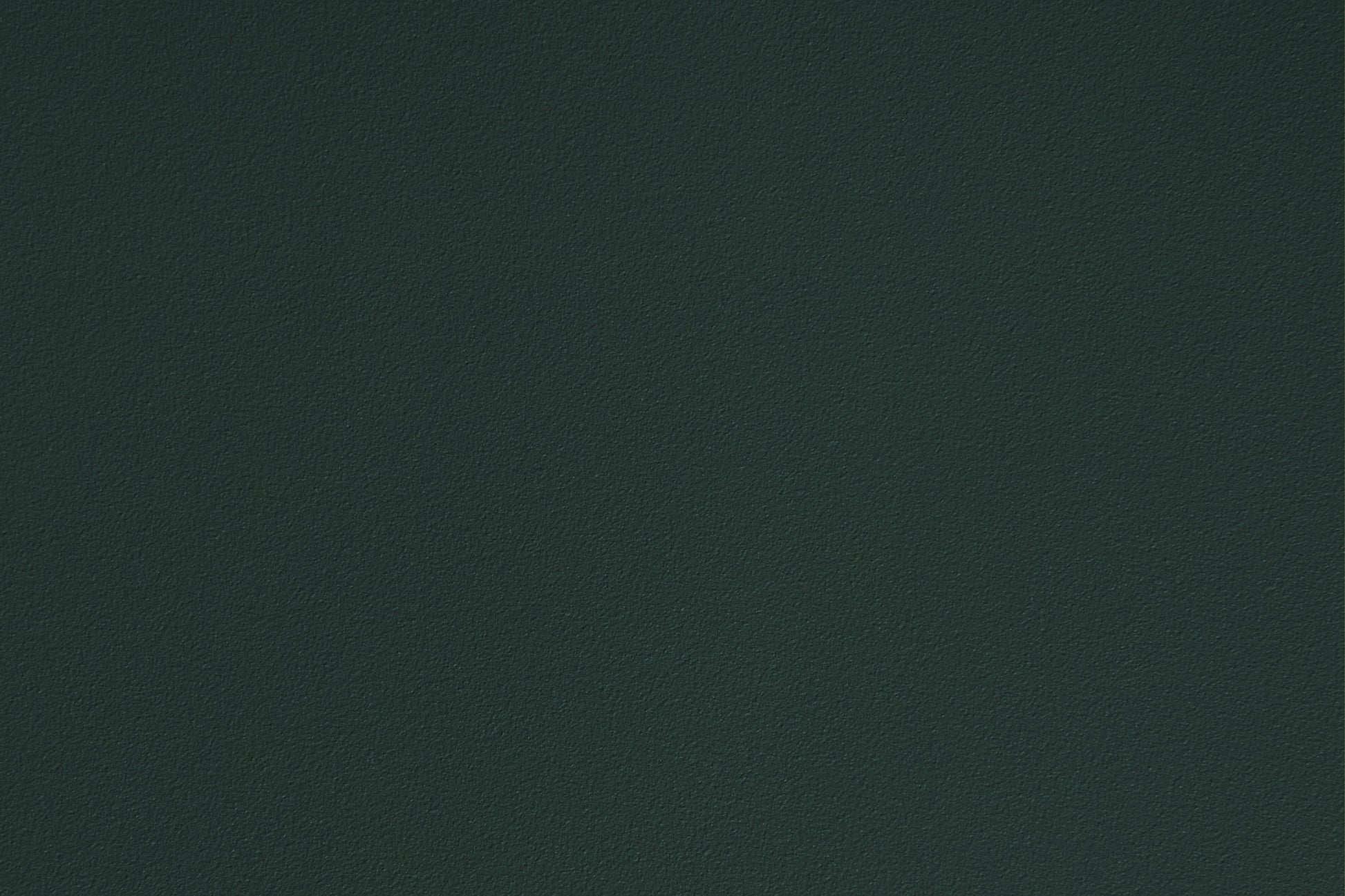 295236.jpg