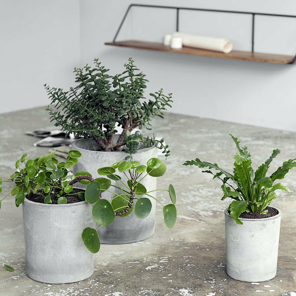 3 Cache-pot droits en béton gris - House doctor - The Cool Republic