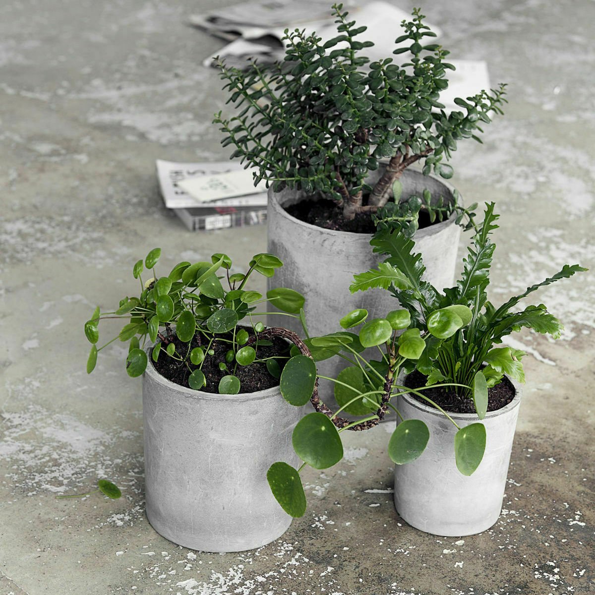 3 Cache-pot droits en béton gris - House doctor - The Cool Republic