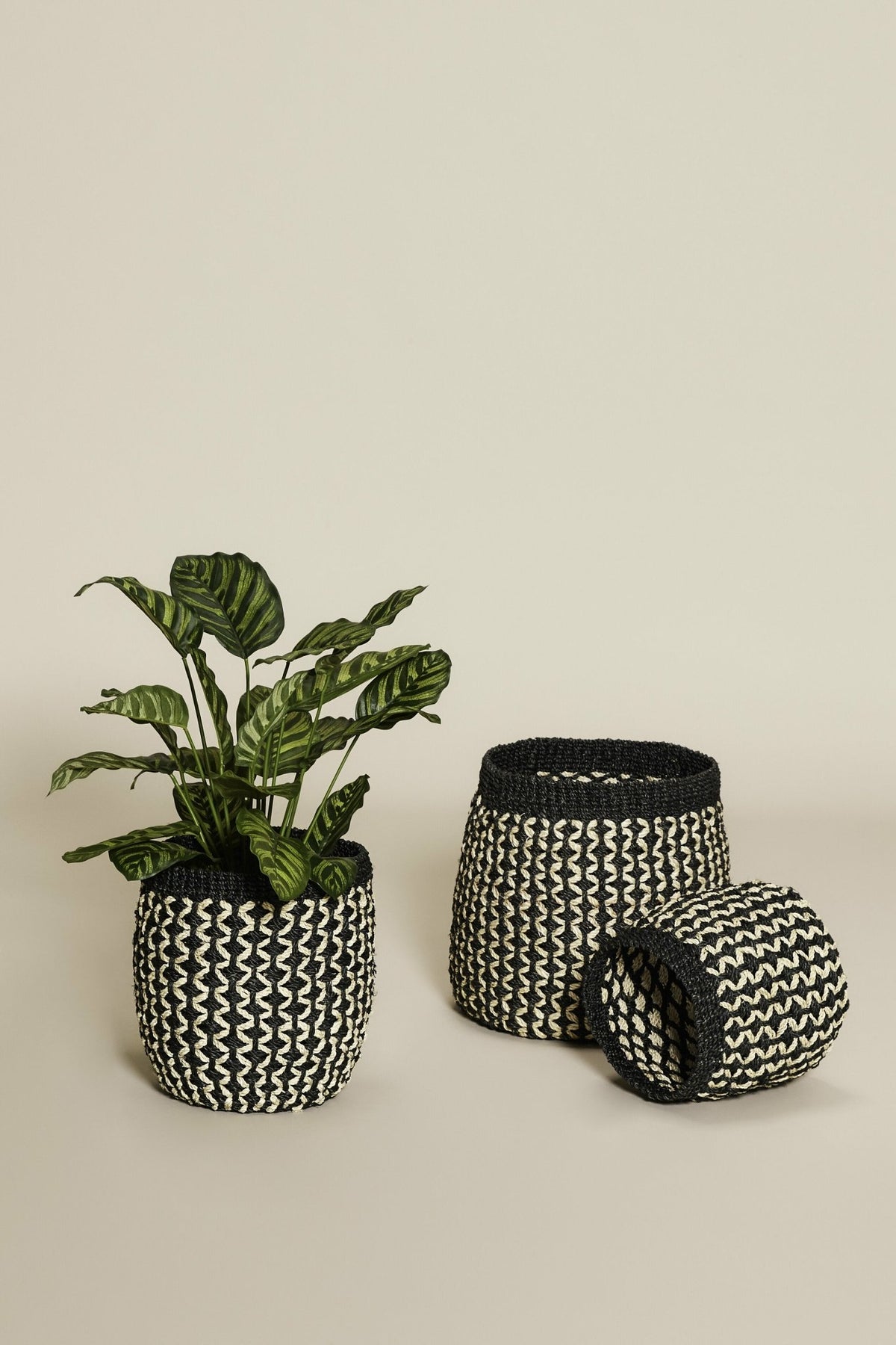 3 Paniers en acaba avec motif noir et naturel - Hübsch - The Cool Republic