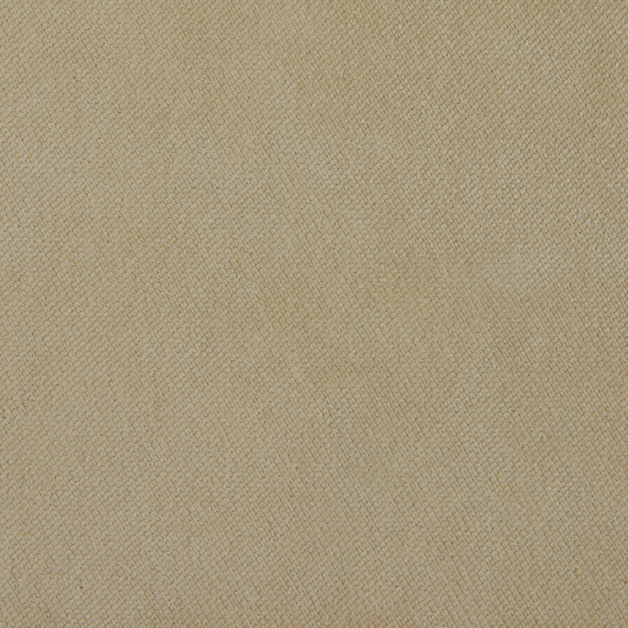 303512.jpg