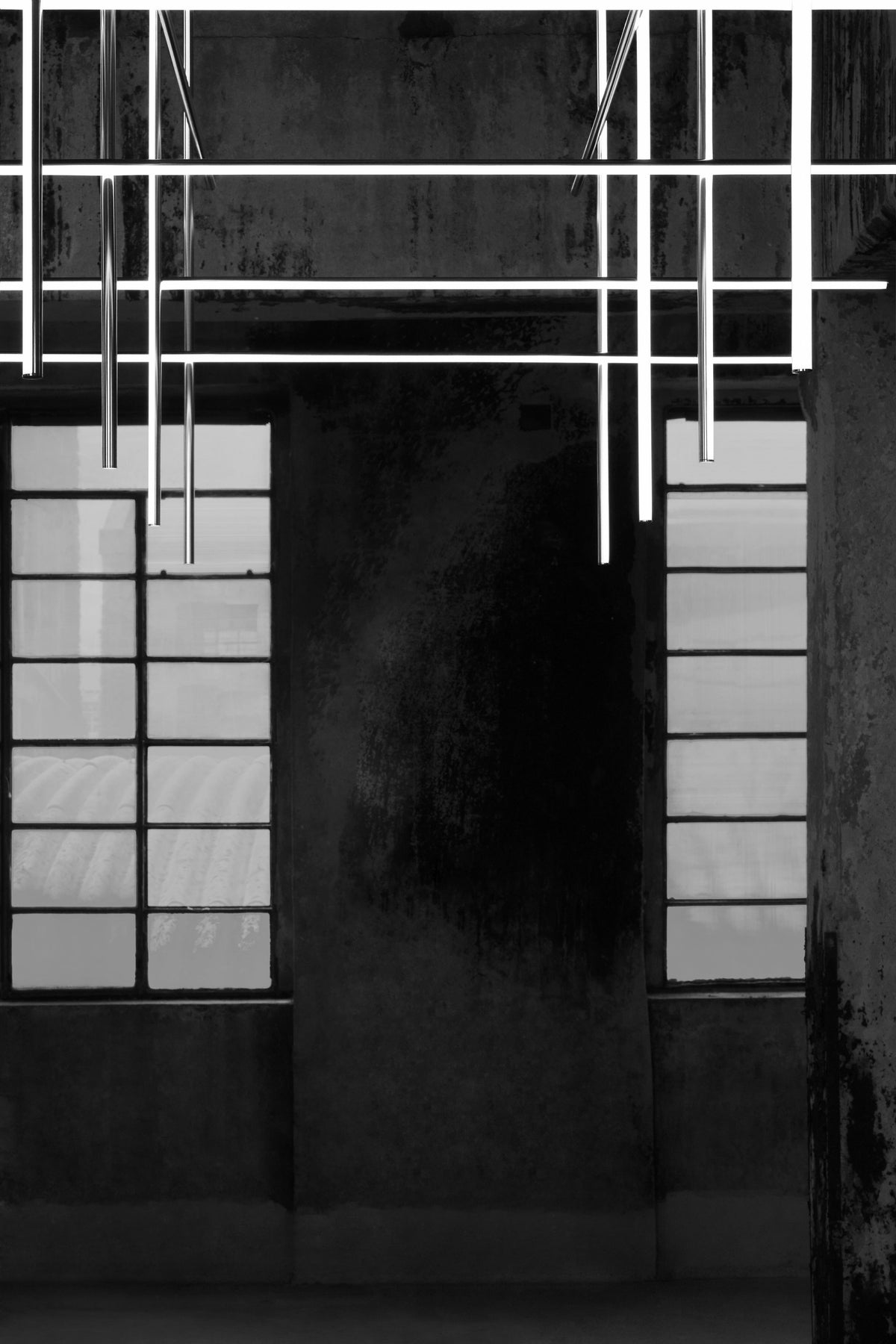 303915.jpg