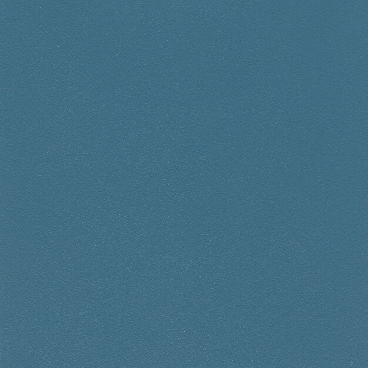 309368.jpg