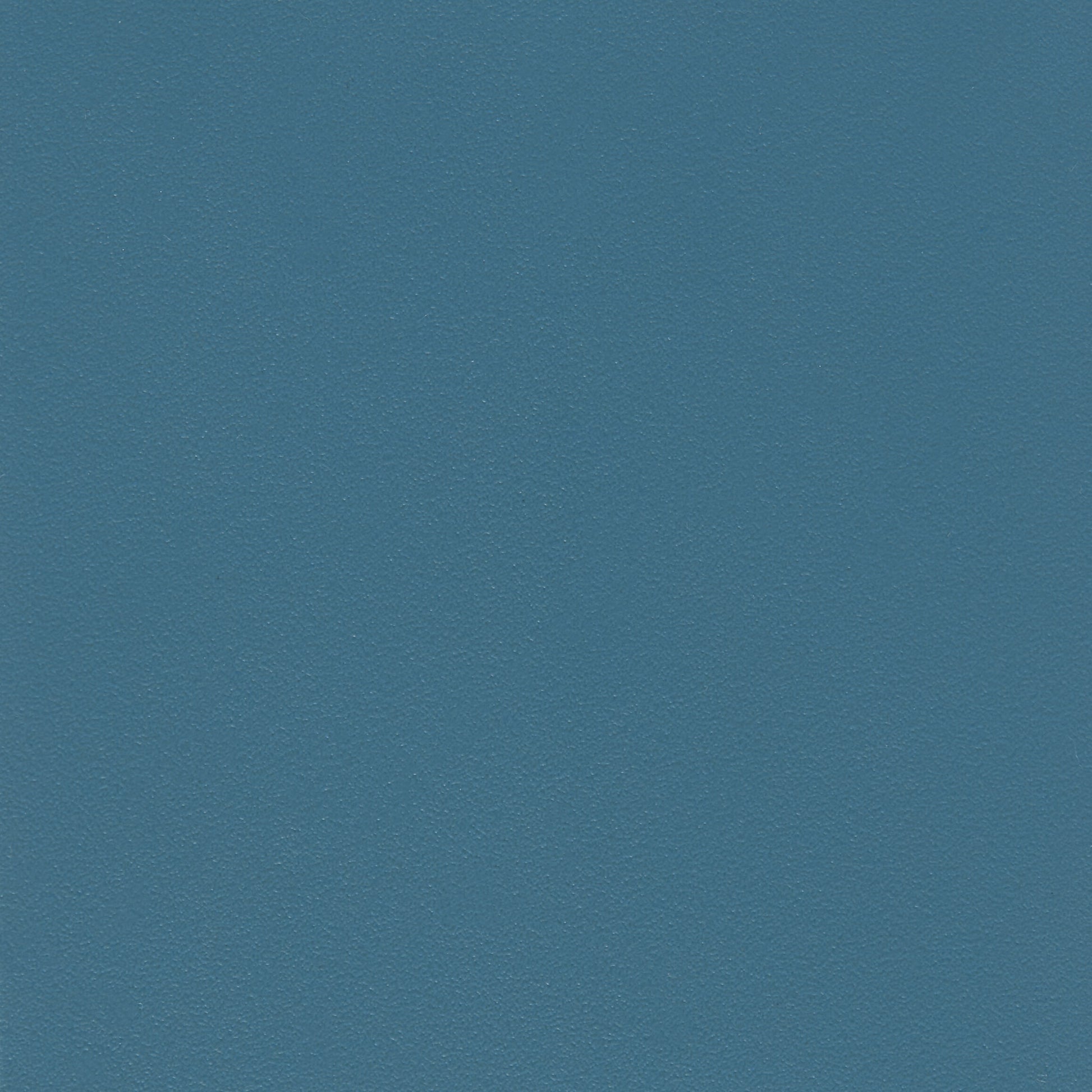 309368.jpg