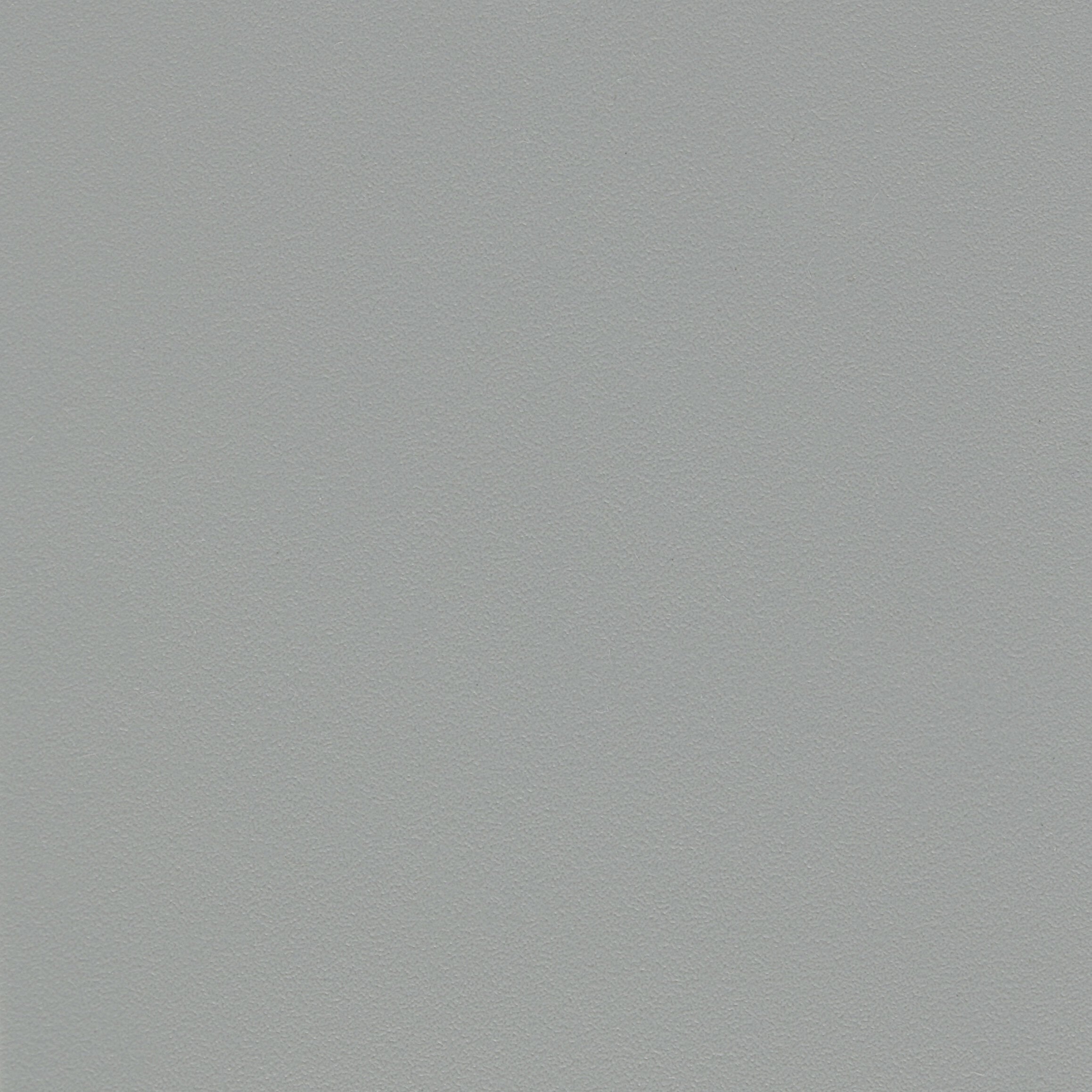 309409.jpg