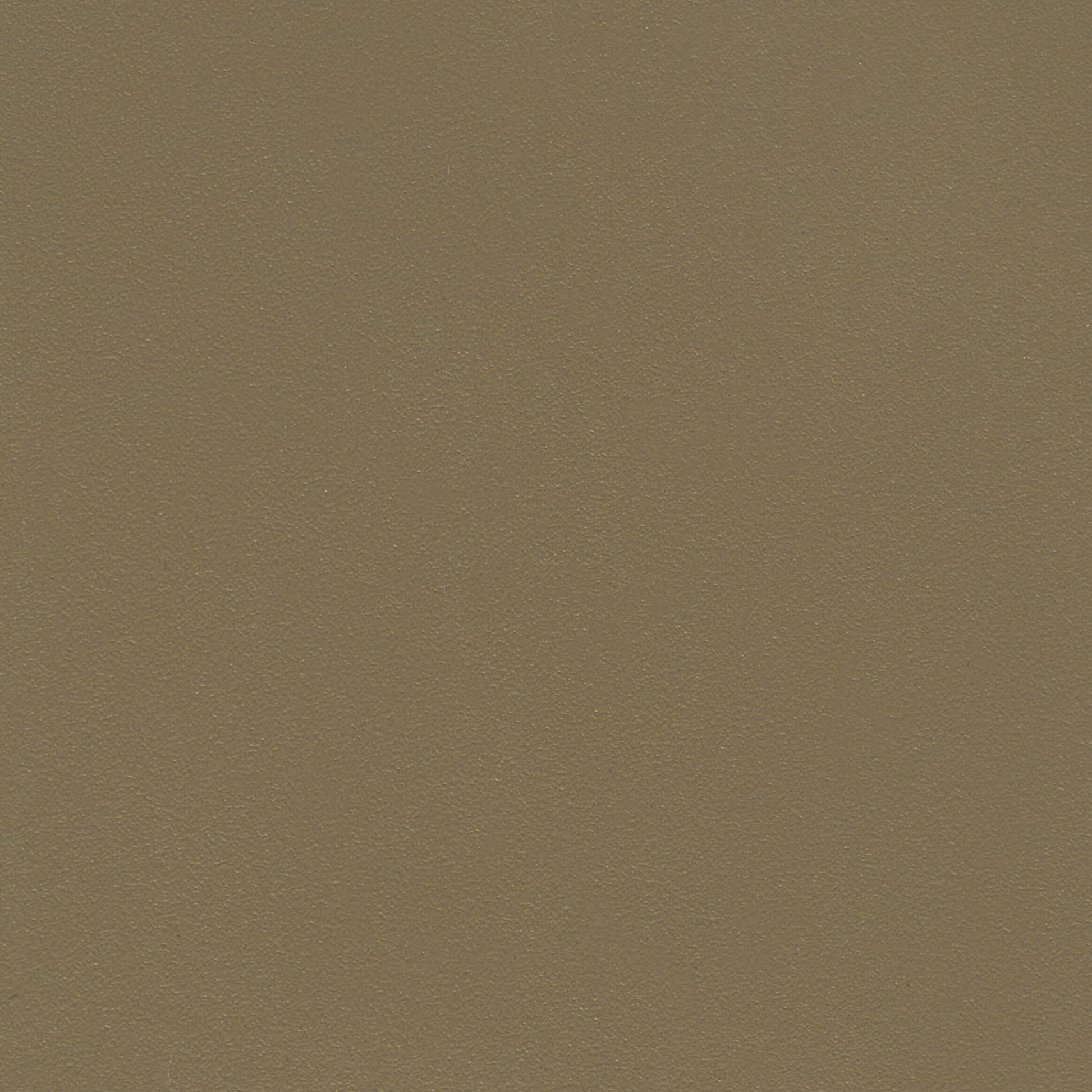 309416.jpg