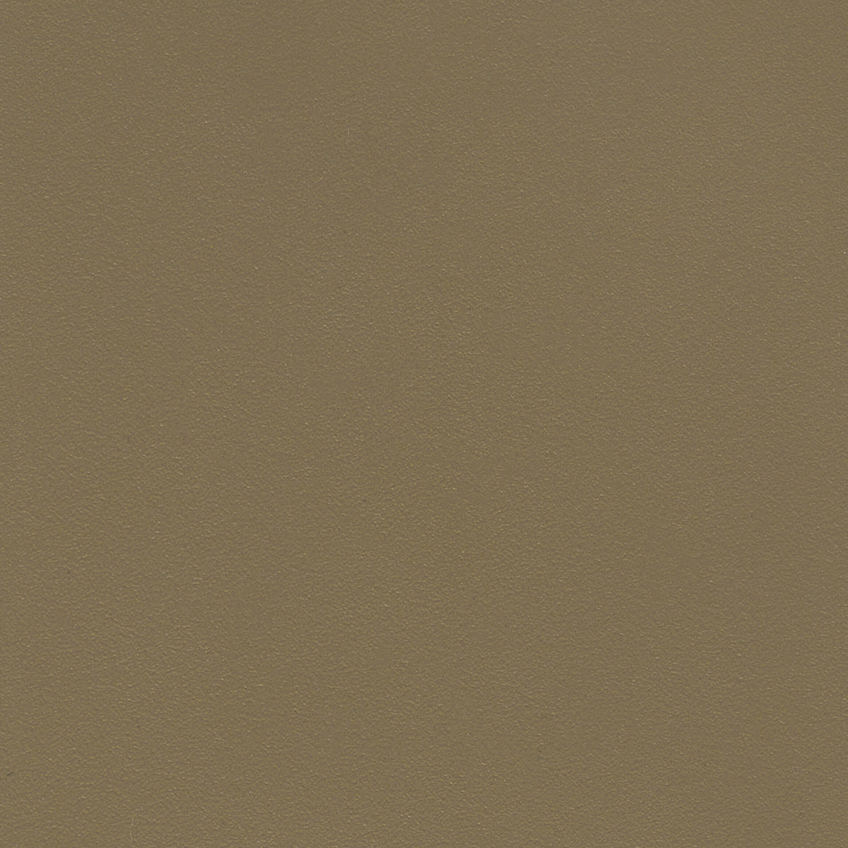 309416.jpg
