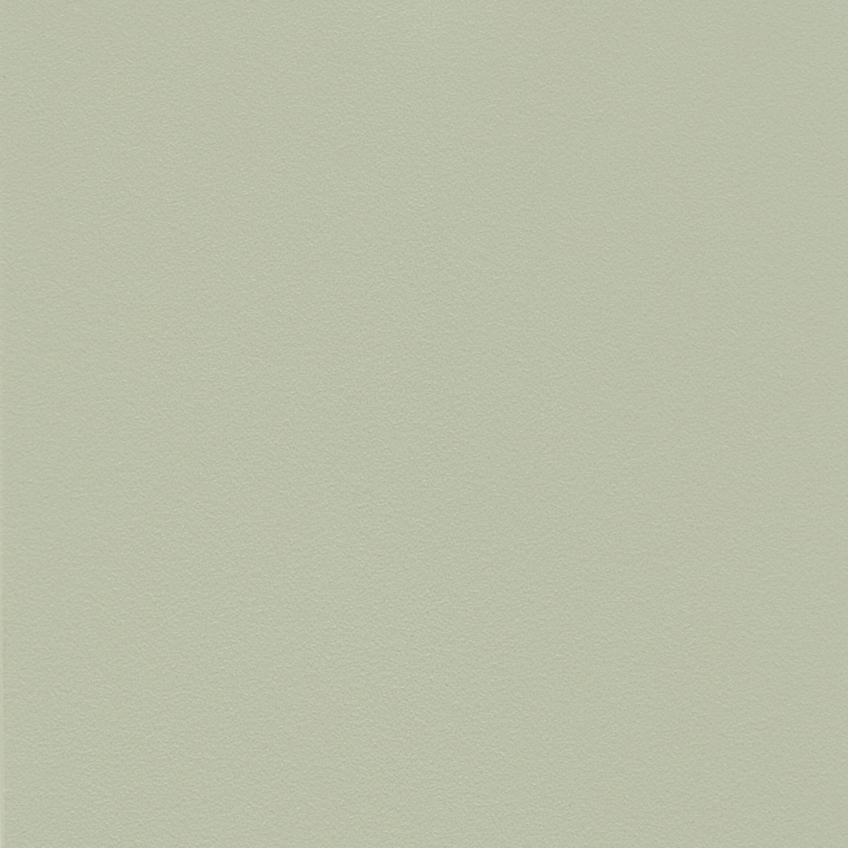 309425.jpg