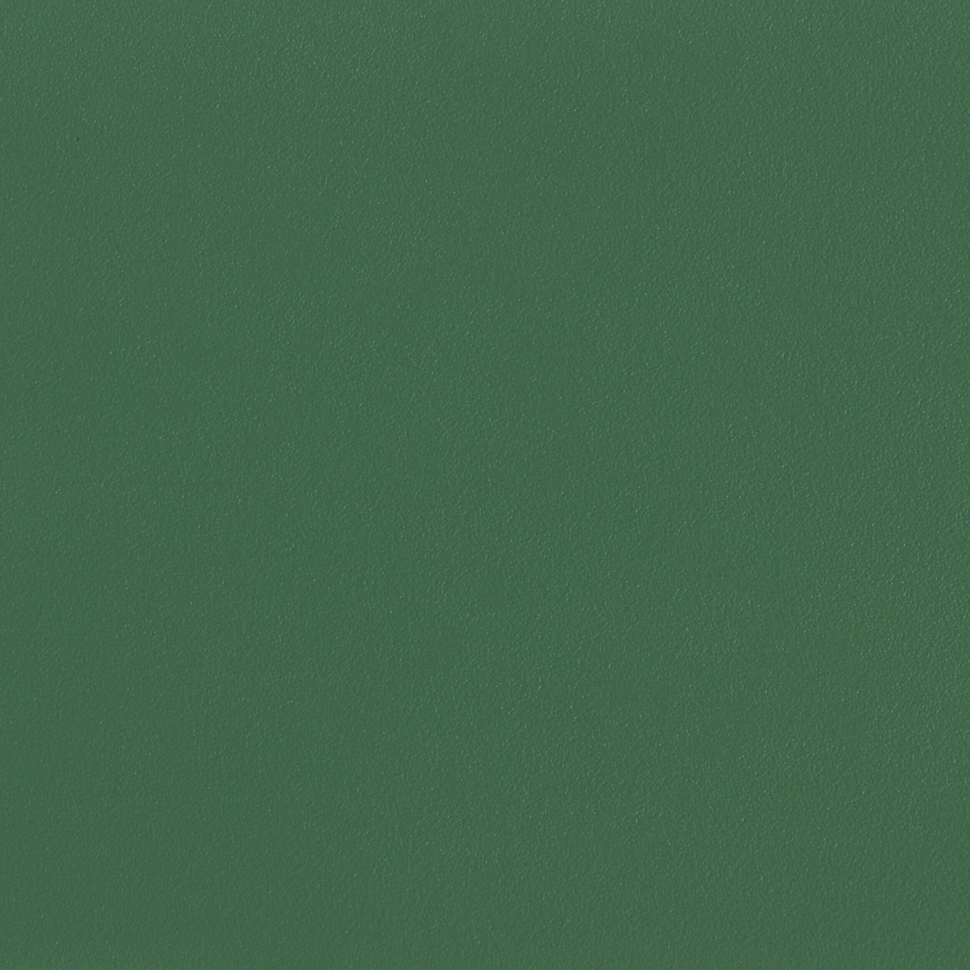 309428.jpg