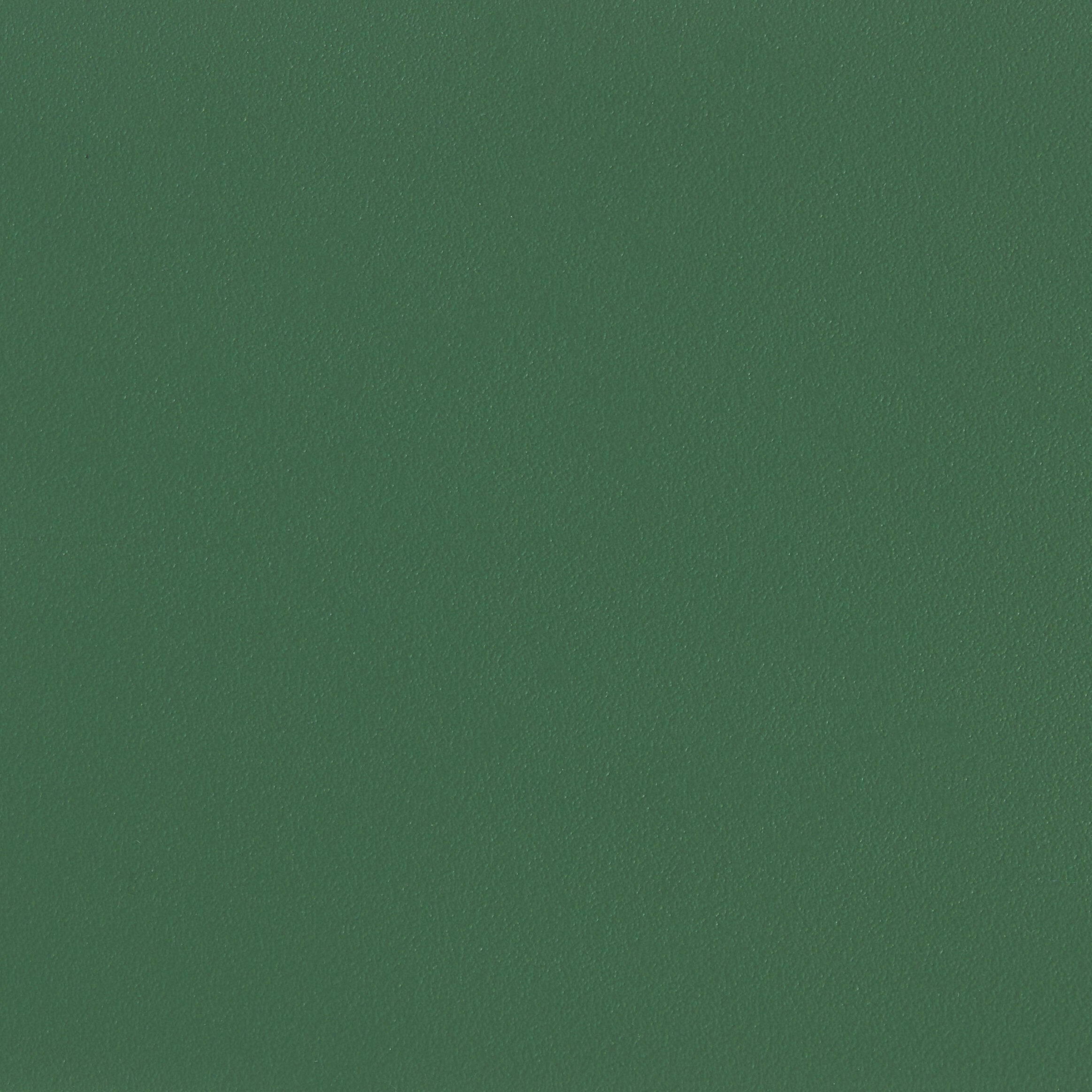 309428.jpg