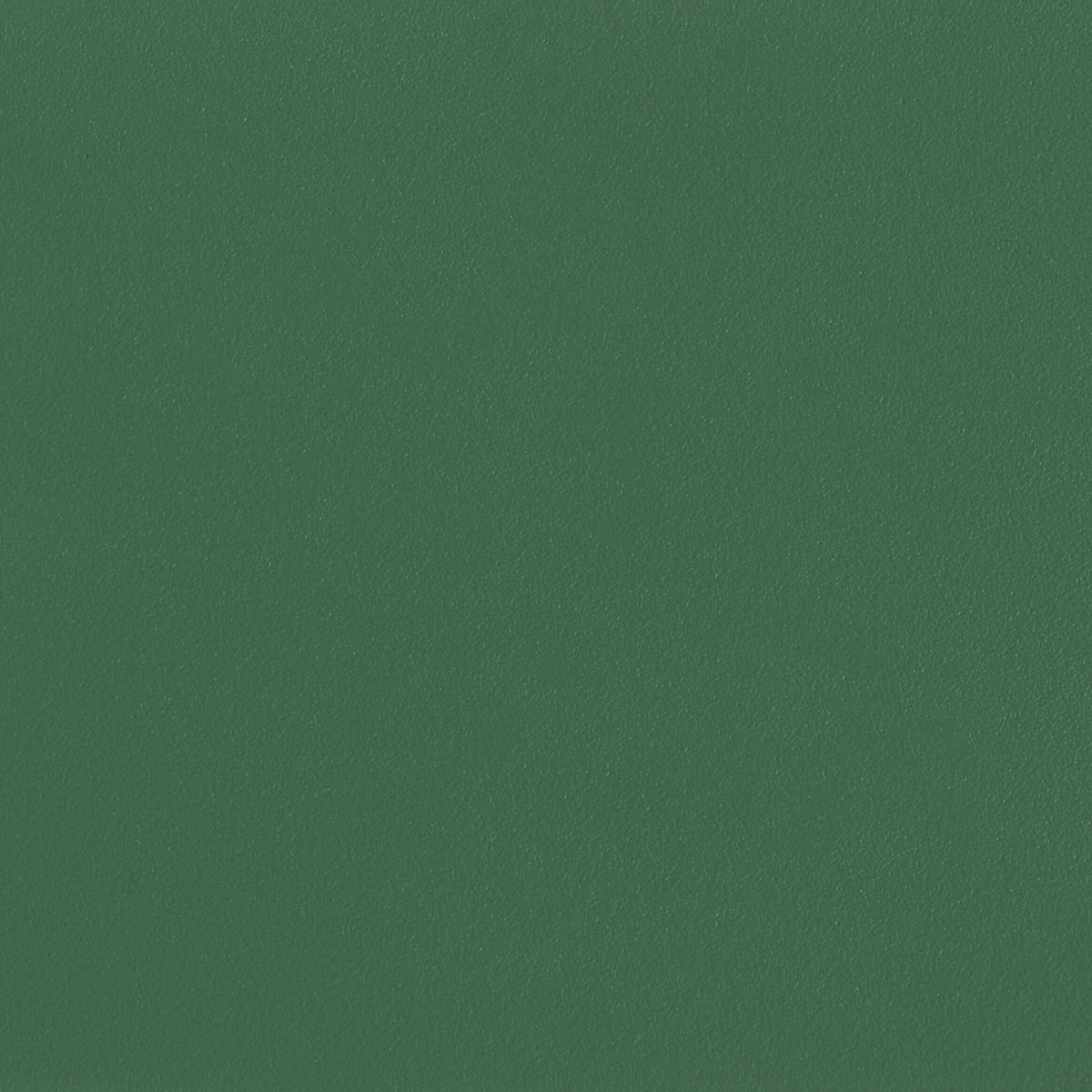 309428.jpg