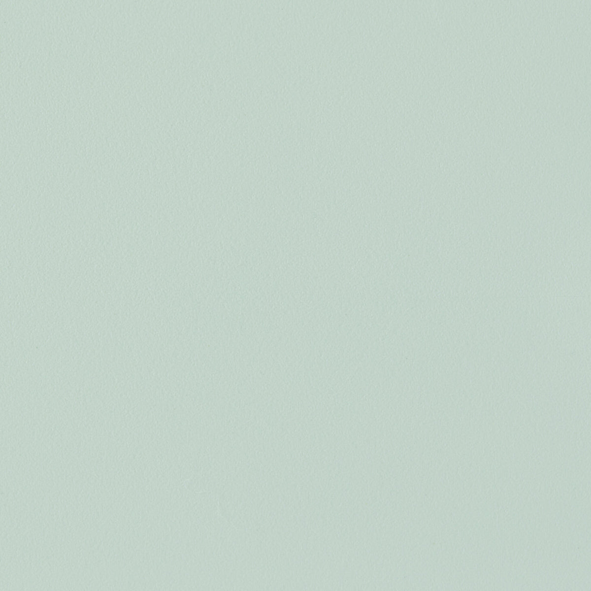 309488.jpg