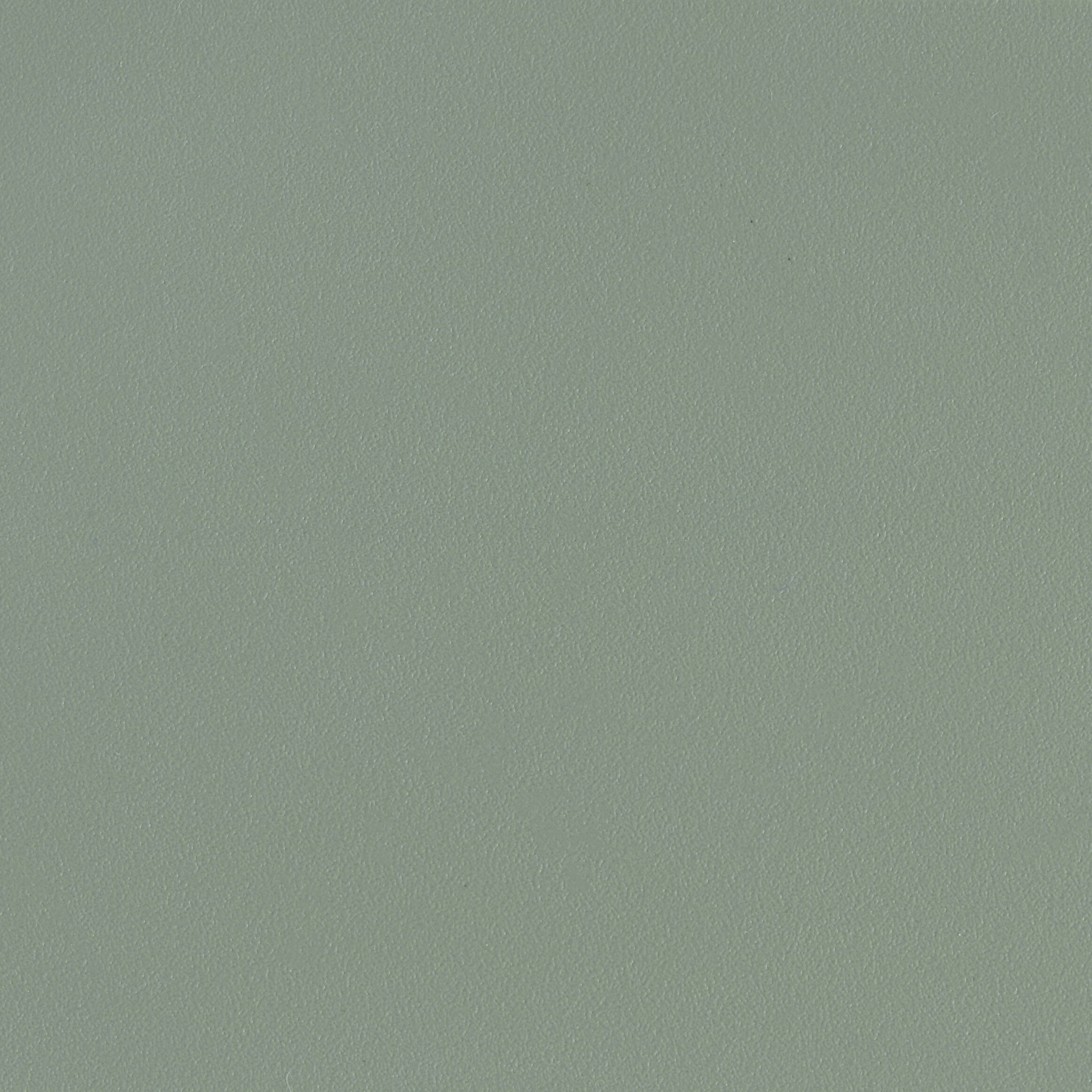 309493.jpg