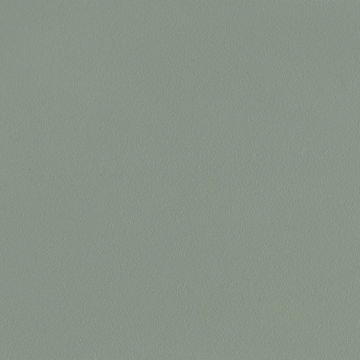 309493.jpg