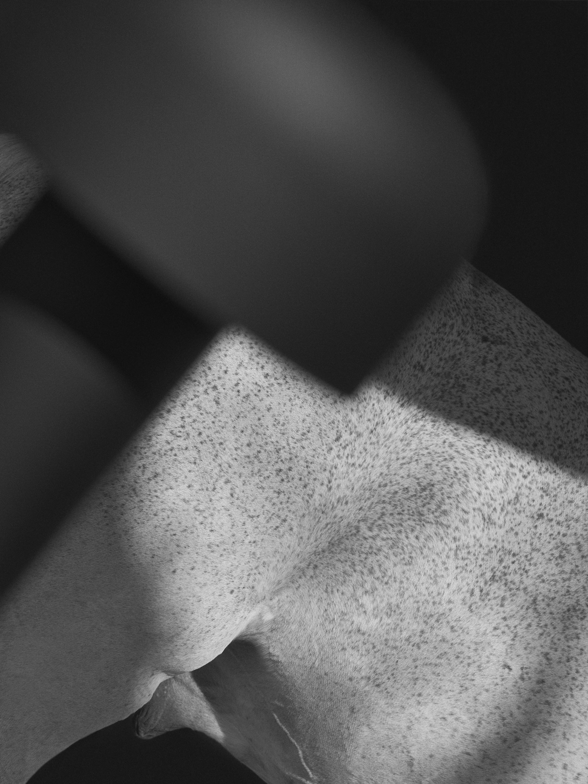 310313.jpg
