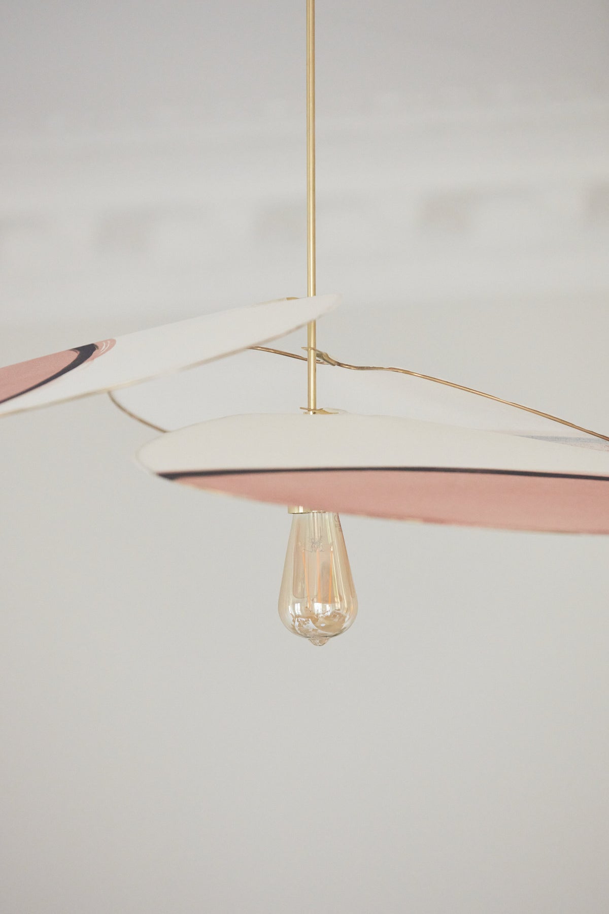 317470.jpg