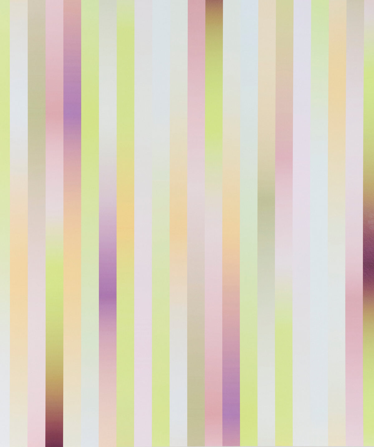 317537.jpg