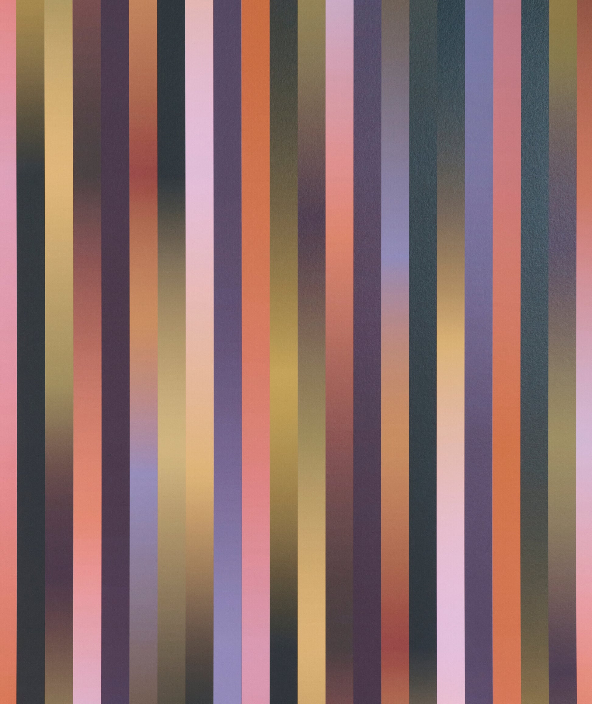 317541.jpg